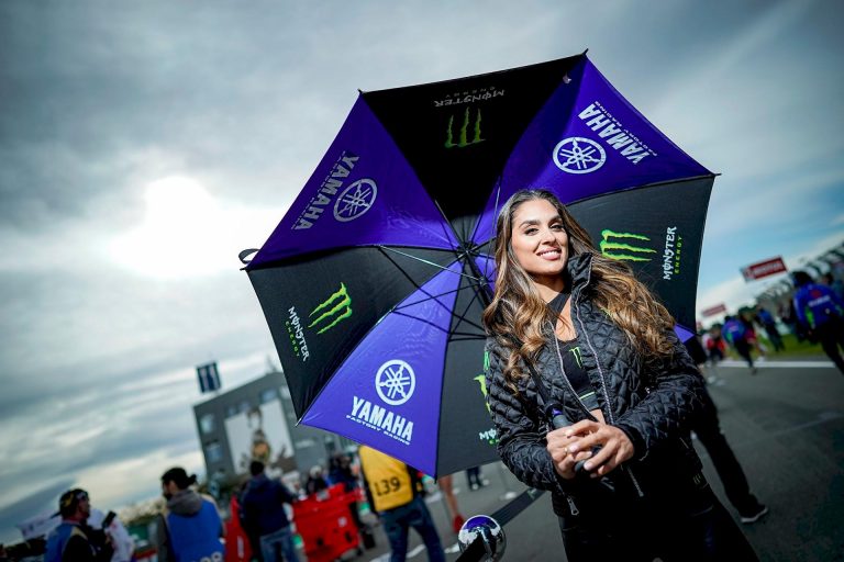 Paddock Girls Valencia 2019