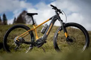 https://www.bergamont.com/it/it/products/bergamont-bikes-eperformance-erevox