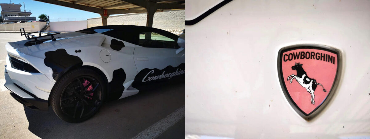 cowborghini lamborghini