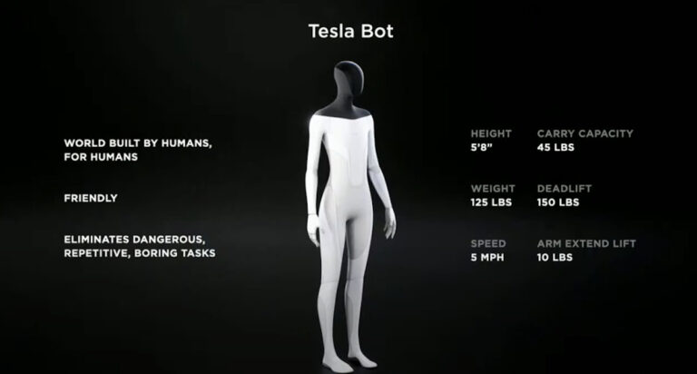 tesla bot