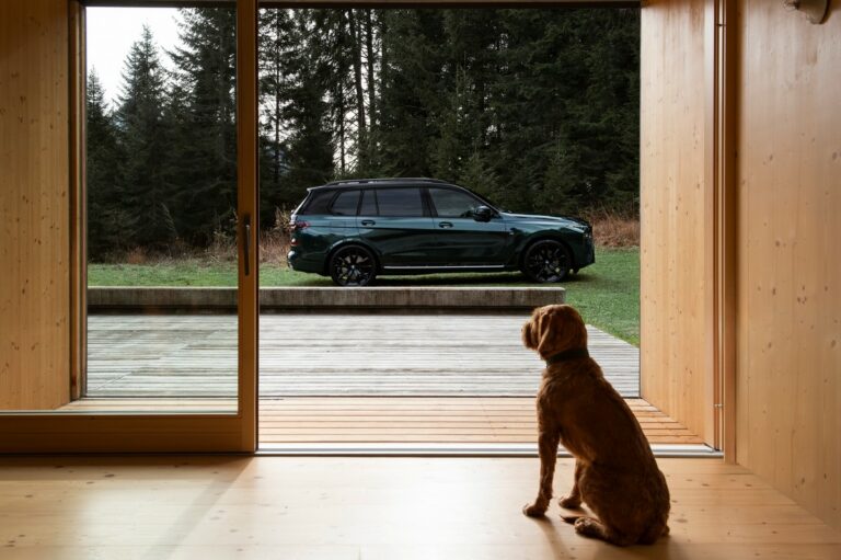 BMW X7 xDrive40d by Poldo Dog Couture