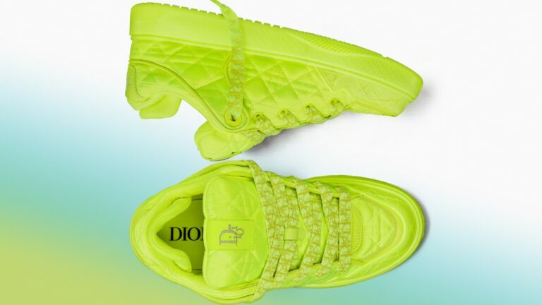 Le sneakers Dior B9S