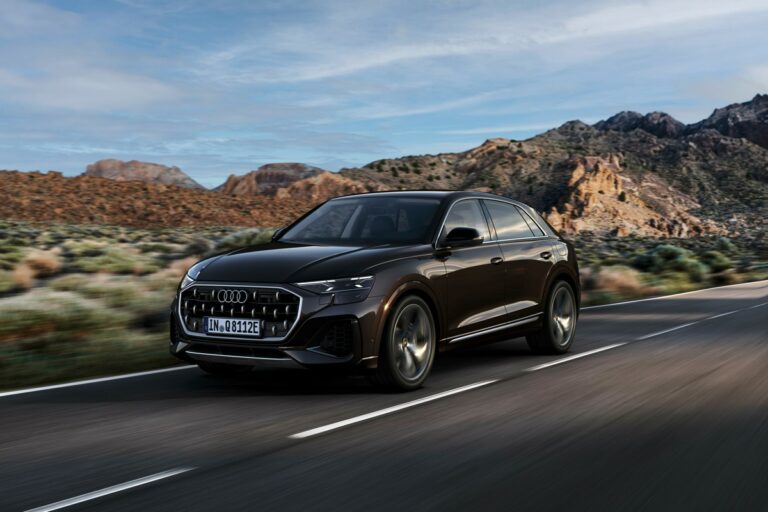 Audi Q8 TFSI e quattro 2024