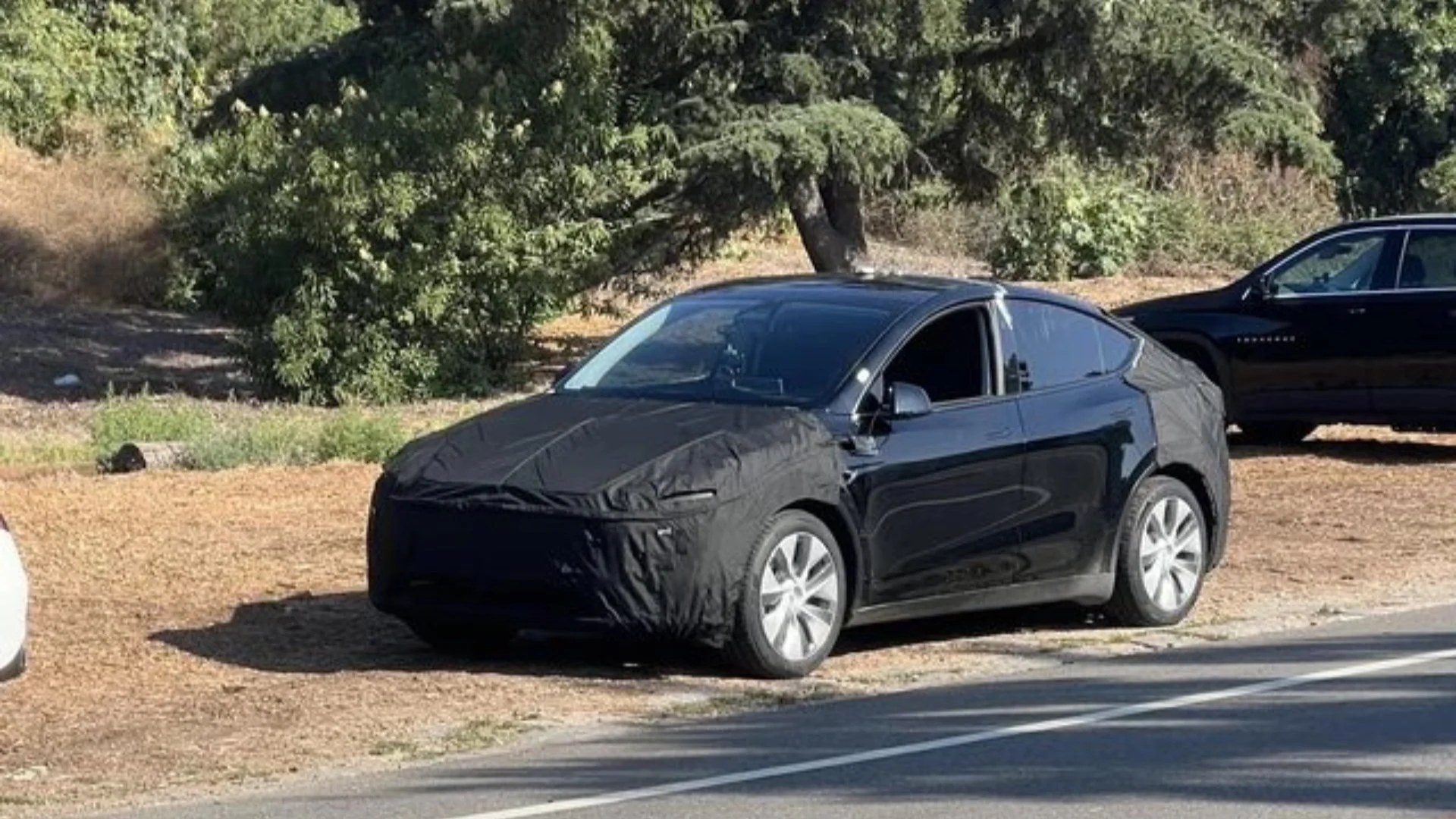 Tesla Model Y Juniper